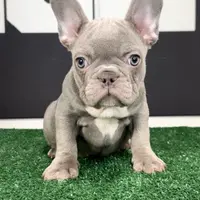 processed/4850bd3e-7bfb-49c9-b559-8f9340aa070e/facility/969936c4-94d0-457d-959c-b1f31b686b9b