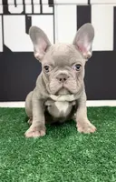 processed/4850bd3e-7bfb-49c9-b559-8f9340aa070e/facility/969936c4-94d0-457d-959c-b1f31b686b9b