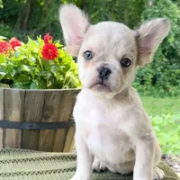 processed/4850bd3e-7bfb-49c9-b559-8f9340aa070e/facility/977f0b3c-e825-4cb7-b261-4bdf2924fd54