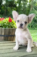 processed/4850bd3e-7bfb-49c9-b559-8f9340aa070e/facility/977f0b3c-e825-4cb7-b261-4bdf2924fd54