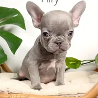 processed/4850bd3e-7bfb-49c9-b559-8f9340aa070e/facility/adf6826c-ff11-4efc-86f4-c4647736f9f6