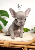 processed/4850bd3e-7bfb-49c9-b559-8f9340aa070e/facility/adf6826c-ff11-4efc-86f4-c4647736f9f6