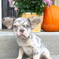 processed/4850bd3e-7bfb-49c9-b559-8f9340aa070e/facility/f7ae5fa8-1d9d-42c6-9398-a68ff7b00b2c