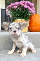 processed/4850bd3e-7bfb-49c9-b559-8f9340aa070e/facility/f7ae5fa8-1d9d-42c6-9398-a68ff7b00b2c