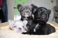 processed/4850bd3e-7bfb-49c9-b559-8f9340aa070e/facility/fc1c90b3-63e4-46ca-bcb4-7a74852fc8bb