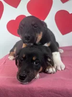 processed/4850bd3e-7bfb-49c9-b559-8f9340aa070e/listing/3db3d894-c484-447d-a031-63ad3381ca8b/5c2581e4-70f4-4a46-9ea9-ea44c18fbeb8