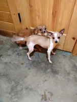 processed/4850bd3e-7bfb-49c9-b559-8f9340aa070e/listing/3f2231ef-86ee-4e8d-af62-97f036d04e4e/03782a78-e816-49be-b727-8d5fbaf77d74