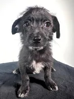 processed/4850bd3e-7bfb-49c9-b559-8f9340aa070e/listing/3f2231ef-86ee-4e8d-af62-97f036d04e4e/ff30f7af-72d9-4076-9df0-75d5b27364df