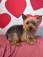 processed/4850bd3e-7bfb-49c9-b559-8f9340aa070e/listing/796a3a77-cc22-4e51-ad73-ca4bc3ec67f5/8f143453-9b6f-4e39-a077-742ba1be4509