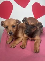 processed/4850bd3e-7bfb-49c9-b559-8f9340aa070e/listing/81be80de-283e-4b35-9541-b56fe6d43568/ac605451-fb2f-44fa-994b-5dab8dd40968