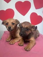 processed/4850bd3e-7bfb-49c9-b559-8f9340aa070e/listing/81be80de-283e-4b35-9541-b56fe6d43568/af739f7c-6e07-4b73-bbc8-7e17a40ddf8a