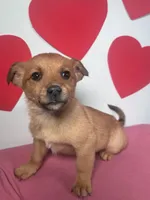 processed/4850bd3e-7bfb-49c9-b559-8f9340aa070e/listing/81be80de-283e-4b35-9541-b56fe6d43568/f6ccd6d6-5649-468f-8e29-e1916593300b