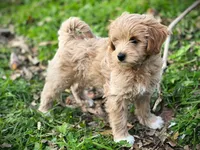 processed/4854a6b8-48ba-4a44-b1ac-95494b4c5659/facility/0bfaea95-7d80-497f-a5f7-075930d4bd26