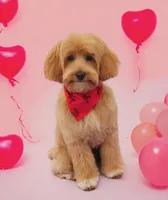 processed/4854a6b8-48ba-4a44-b1ac-95494b4c5659/facility/23d1152c-1703-4f41-9c86-64ed374ca010