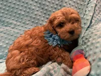 processed/4854a6b8-48ba-4a44-b1ac-95494b4c5659/listing/2807cc7e-19c0-4f6c-a79a-f117581fbec0/31aa7f7d-fe42-4cea-a842-38201d01c1bf