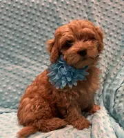 processed/4854a6b8-48ba-4a44-b1ac-95494b4c5659/listing/2807cc7e-19c0-4f6c-a79a-f117581fbec0/bfe8382b-e824-4d47-9fd5-5847c9c2b2bf