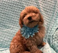 processed/4854a6b8-48ba-4a44-b1ac-95494b4c5659/listing/2807cc7e-19c0-4f6c-a79a-f117581fbec0/cdfdee03-46c8-448b-9f19-8a84399c5612