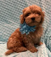 processed/4854a6b8-48ba-4a44-b1ac-95494b4c5659/listing/2807cc7e-19c0-4f6c-a79a-f117581fbec0/ef319ed3-a938-4223-a467-0cdbbcf6352c