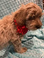 processed/4854a6b8-48ba-4a44-b1ac-95494b4c5659/listing/96256088-db40-47fa-b945-972861e0d644/34eea841-1339-4740-b7a2-c2dd7b64d7c5