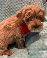 processed/4854a6b8-48ba-4a44-b1ac-95494b4c5659/listing/96256088-db40-47fa-b945-972861e0d644/77270324-8927-43f1-adf4-7c80259a647d