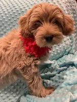 processed/4854a6b8-48ba-4a44-b1ac-95494b4c5659/listing/96256088-db40-47fa-b945-972861e0d644/7bec1884-bfba-4b01-a482-51909cc59318