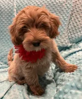 processed/4854a6b8-48ba-4a44-b1ac-95494b4c5659/listing/96256088-db40-47fa-b945-972861e0d644/c0629c9a-170b-4ec5-9ead-28465291c331