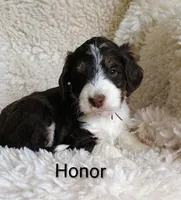 processed/485c83ab-ff14-449a-9b86-d3b3ae57cfd0/listing/5267bcbf-25fc-4e78-8cab-5c4c2619c39a/390b14ee-8cfc-4f60-819e-86b3d4141076