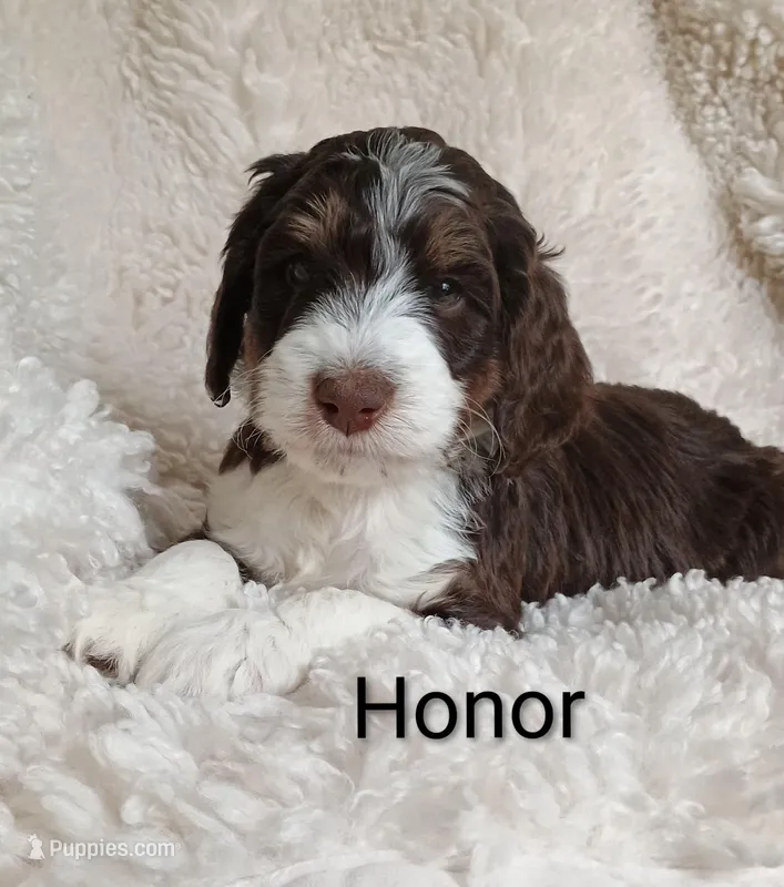 Honor