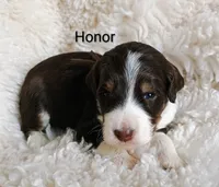 processed/485c83ab-ff14-449a-9b86-d3b3ae57cfd0/listing/5267bcbf-25fc-4e78-8cab-5c4c2619c39a/92ca59ee-b4df-4707-a24a-cda3b55b8189