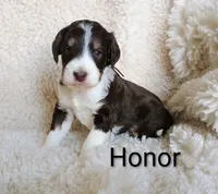 processed/485c83ab-ff14-449a-9b86-d3b3ae57cfd0/listing/5267bcbf-25fc-4e78-8cab-5c4c2619c39a/c9ddd91b-73b8-4f15-a856-70f1b4069546