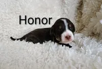 processed/485c83ab-ff14-449a-9b86-d3b3ae57cfd0/listing/5267bcbf-25fc-4e78-8cab-5c4c2619c39a/cdcb931a-25b6-46bb-b31e-2cbc0a813a70