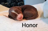 processed/485c83ab-ff14-449a-9b86-d3b3ae57cfd0/listing/5267bcbf-25fc-4e78-8cab-5c4c2619c39a/f6787ddb-c4f8-4316-93a7-5c59e15b95cd