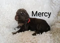 processed/485c83ab-ff14-449a-9b86-d3b3ae57cfd0/listing/72a0c132-0282-403a-9a6b-aaadea93f761/9439f25f-380e-495d-9784-9c07fa3895ae