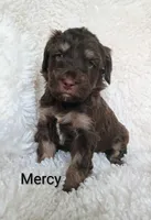 processed/485c83ab-ff14-449a-9b86-d3b3ae57cfd0/listing/72a0c132-0282-403a-9a6b-aaadea93f761/d5a596f8-6f34-4d62-a36d-4a045806ce72