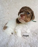 processed/485c83ab-ff14-449a-9b86-d3b3ae57cfd0/listing/8c1d91ff-519a-4e38-84b9-5f50e80f72e1/51d3ff98-e591-4a04-a3b0-c7ab63386672