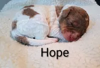 processed/485c83ab-ff14-449a-9b86-d3b3ae57cfd0/listing/8c1d91ff-519a-4e38-84b9-5f50e80f72e1/5d88fce3-7b89-4774-8dc9-11360725980c