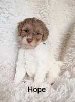 processed/485c83ab-ff14-449a-9b86-d3b3ae57cfd0/listing/8c1d91ff-519a-4e38-84b9-5f50e80f72e1/a153713b-96b3-4713-ac00-9c554e7af29b