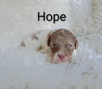 processed/485c83ab-ff14-449a-9b86-d3b3ae57cfd0/listing/8c1d91ff-519a-4e38-84b9-5f50e80f72e1/a342624f-ebf4-40cf-ba9a-38b77af1b8e2