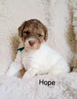 processed/485c83ab-ff14-449a-9b86-d3b3ae57cfd0/listing/8c1d91ff-519a-4e38-84b9-5f50e80f72e1/f9f52e4d-ef72-4111-8b00-04922cf6a064