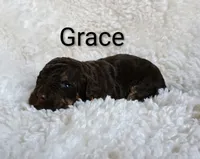 processed/485c83ab-ff14-449a-9b86-d3b3ae57cfd0/listing/925713ef-6412-42f3-993f-d19a55452289/0822f56b-5c02-4792-a704-656b234ec7ae