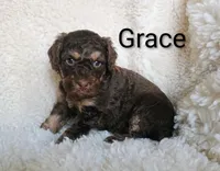 processed/485c83ab-ff14-449a-9b86-d3b3ae57cfd0/listing/925713ef-6412-42f3-993f-d19a55452289/a18e734d-1447-467e-93d1-68fda0a059a8