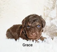 processed/485c83ab-ff14-449a-9b86-d3b3ae57cfd0/listing/925713ef-6412-42f3-993f-d19a55452289/adc92857-8676-4467-ba0d-571a50c7dff6