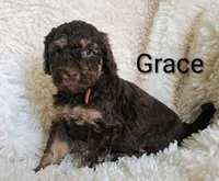 processed/485c83ab-ff14-449a-9b86-d3b3ae57cfd0/listing/925713ef-6412-42f3-993f-d19a55452289/dae3473b-8668-40ba-9930-e6464bdfb989