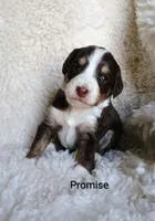 processed/485c83ab-ff14-449a-9b86-d3b3ae57cfd0/listing/ac28a5a3-d6ca-4120-a091-e1b3faad8b69/883b2b8a-7199-4fbc-886f-21b5db12cf86