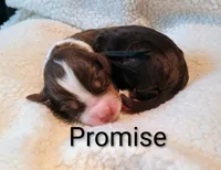 processed/485c83ab-ff14-449a-9b86-d3b3ae57cfd0/listing/ac28a5a3-d6ca-4120-a091-e1b3faad8b69/97170070-5f5b-4adf-962f-b7d9c7d19d83