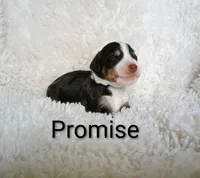 processed/485c83ab-ff14-449a-9b86-d3b3ae57cfd0/listing/ac28a5a3-d6ca-4120-a091-e1b3faad8b69/9921b317-2665-400f-99b4-54f80a1de3a5