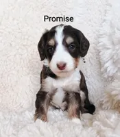 processed/485c83ab-ff14-449a-9b86-d3b3ae57cfd0/listing/ac28a5a3-d6ca-4120-a091-e1b3faad8b69/ba45b01a-624a-4c5b-b14d-1b6b3bf31065