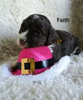 processed/485c83ab-ff14-449a-9b86-d3b3ae57cfd0/listing/d299c692-bc31-48d6-8e0a-3457bbeef0ce/935f13b3-1ac1-4dc1-87ad-1eb3898655c4