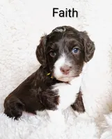 processed/485c83ab-ff14-449a-9b86-d3b3ae57cfd0/listing/d299c692-bc31-48d6-8e0a-3457bbeef0ce/c78c8b6a-2179-48d6-955f-9cb972bf416a