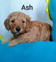 processed/485c83ab-ff14-449a-9b86-d3b3ae57cfd0/listing/e54a2913-6550-409f-bc76-413362f115f9/0e8e9ac5-d396-4b26-8a43-1f1b4e46b604